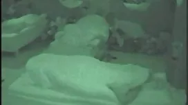 Jebena plavuša kako  ...