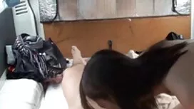 Izbor prekrasnih vel ...