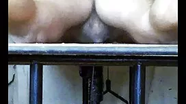 Seksi arab web porno ...