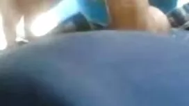 Jebali su kučku na k ...